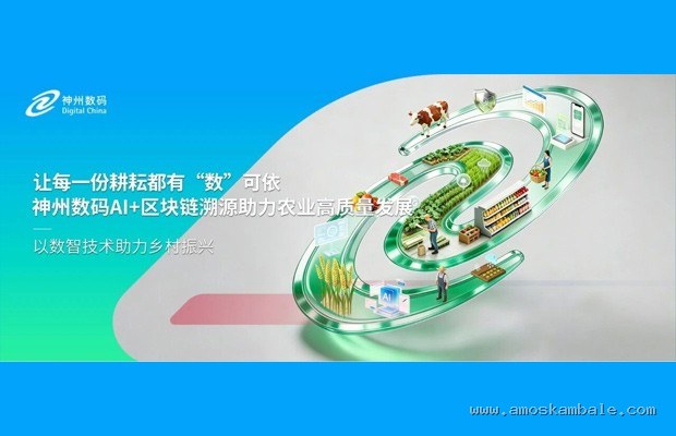 新车必备装备：买电车一定要配的3个“安全死穴”配件